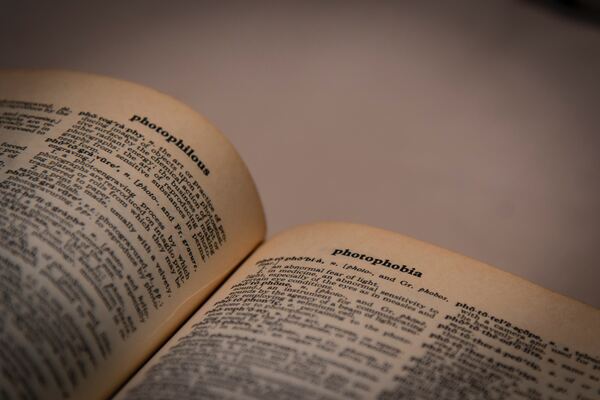 Photography of a Dictionary