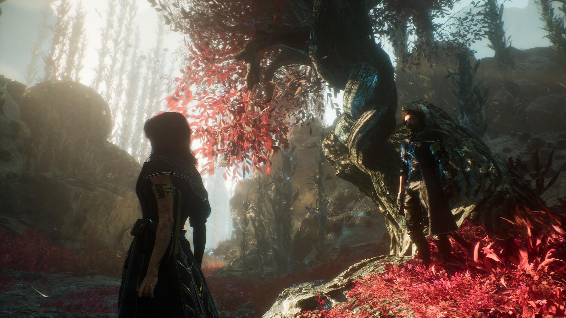 Gustave and Lune in a beautiful red forest