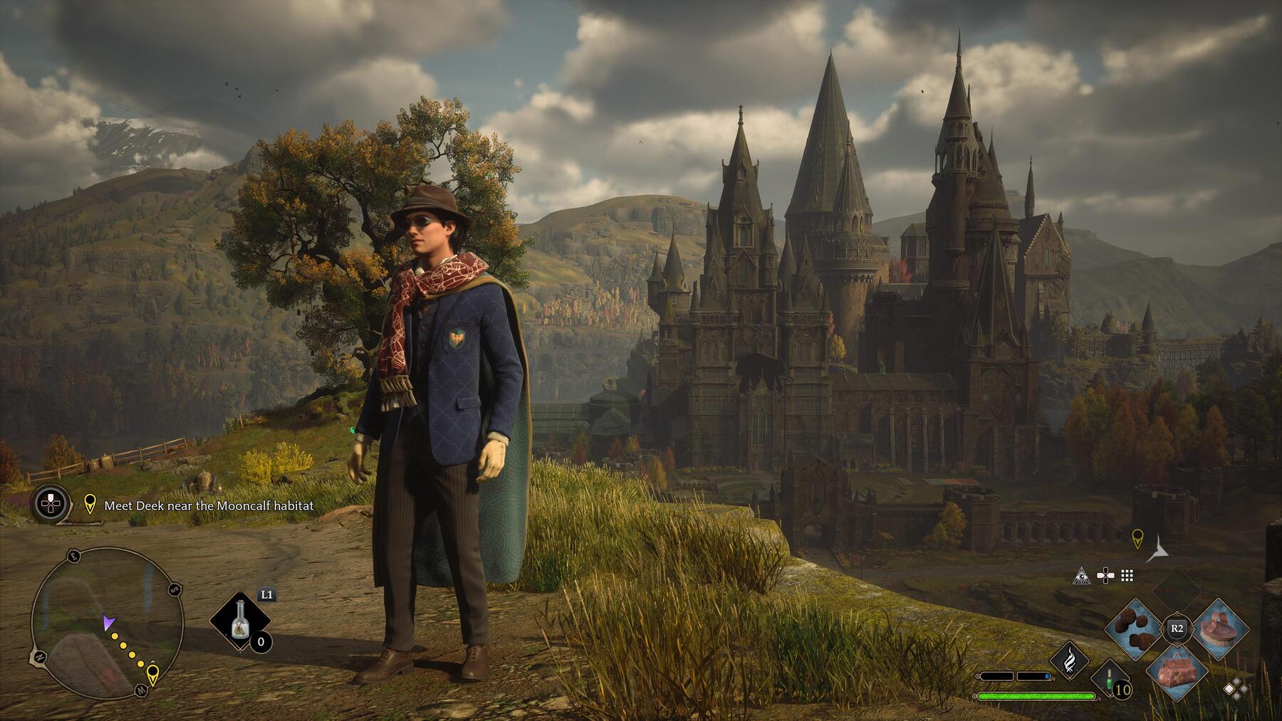 Main character standing in front of Hogwarts