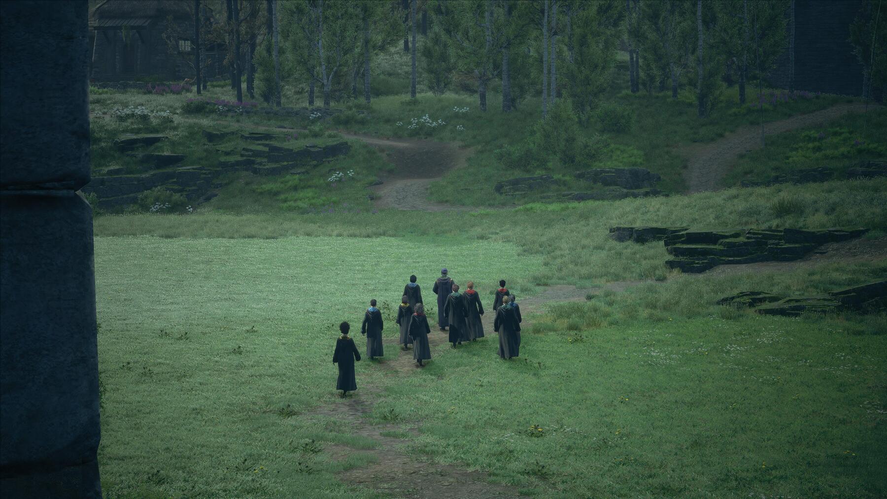 Student wizards walking in a grass field