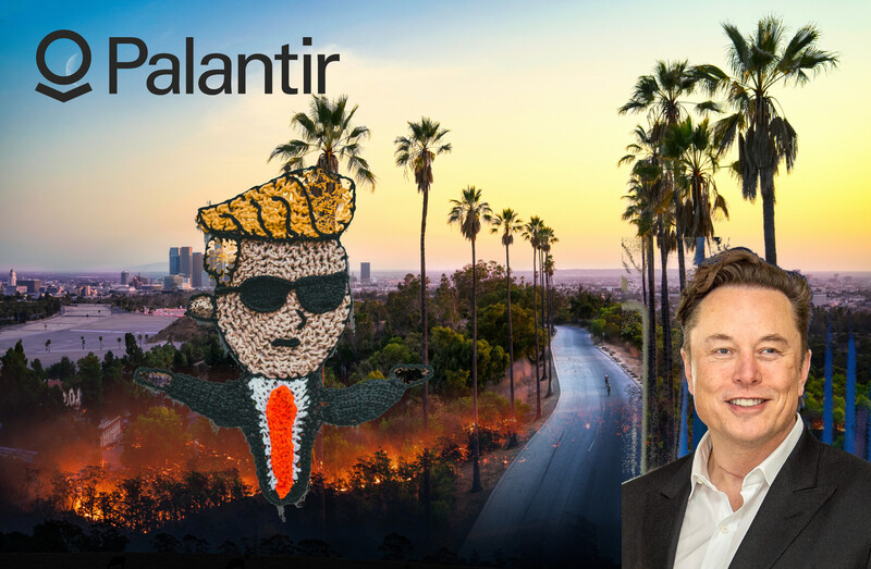 Stitched Trump next to Elon, both overlaid on an Los Angles skyline faded together with a forest fire and a Palantir logo in the top left