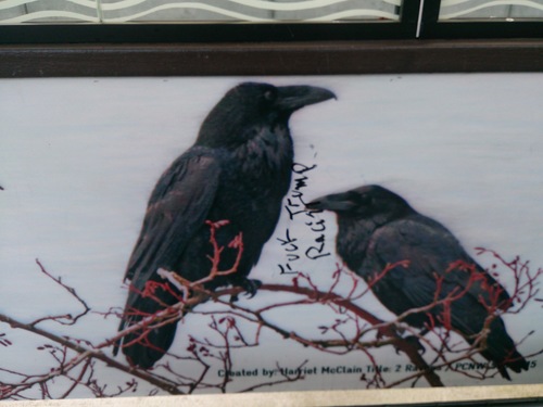 Anti-Trump Graffiti on a Bus Stop