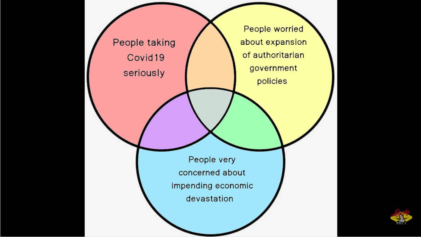 Venn diagram showing three intersecting circles: People taking Covid19 seriously, People worried about the expansion of authoritarian government policies, People very concerned about impending economic devastation