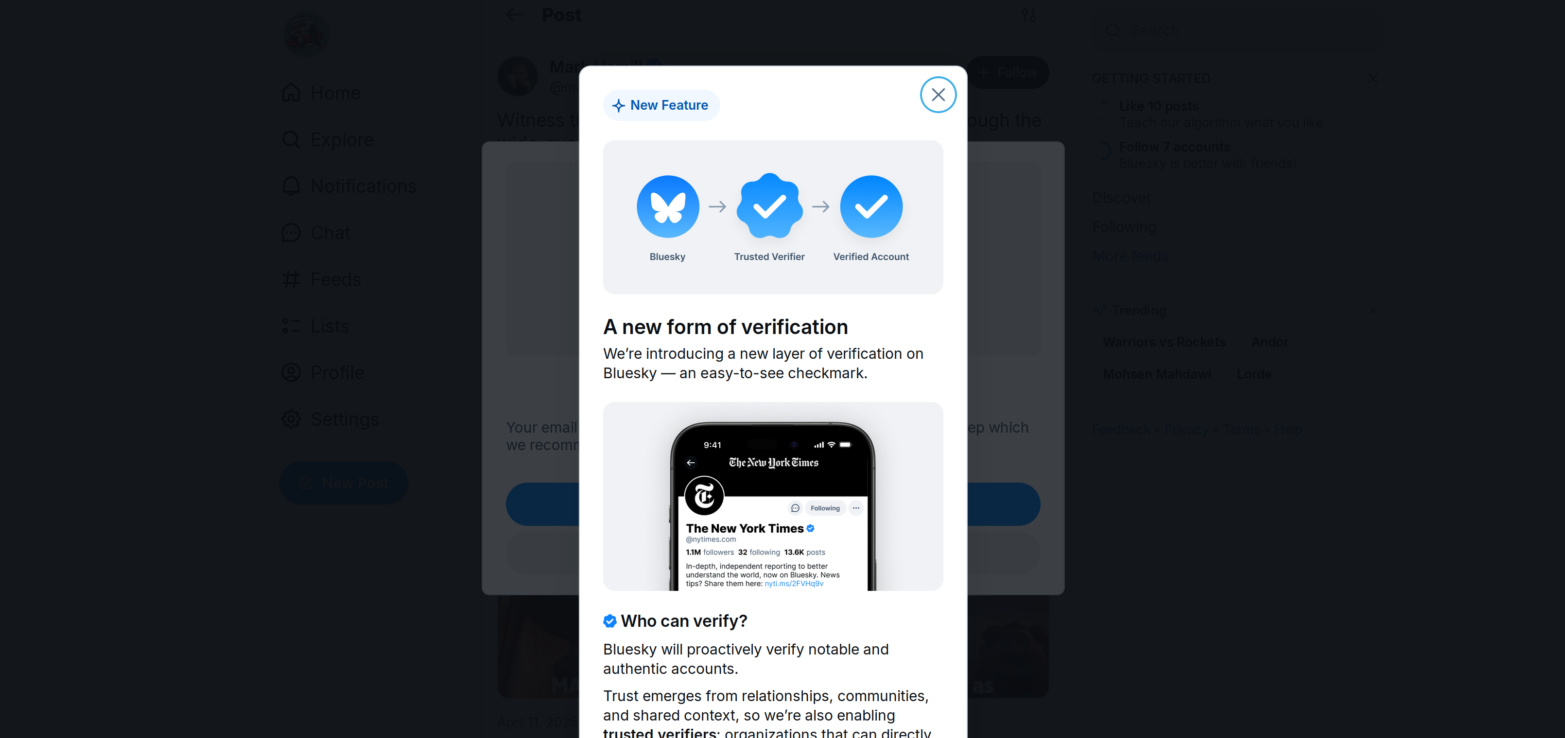 Screenshot of Blusky verification screen