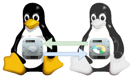 Two Tux Penguins with Hard Drive Cloning