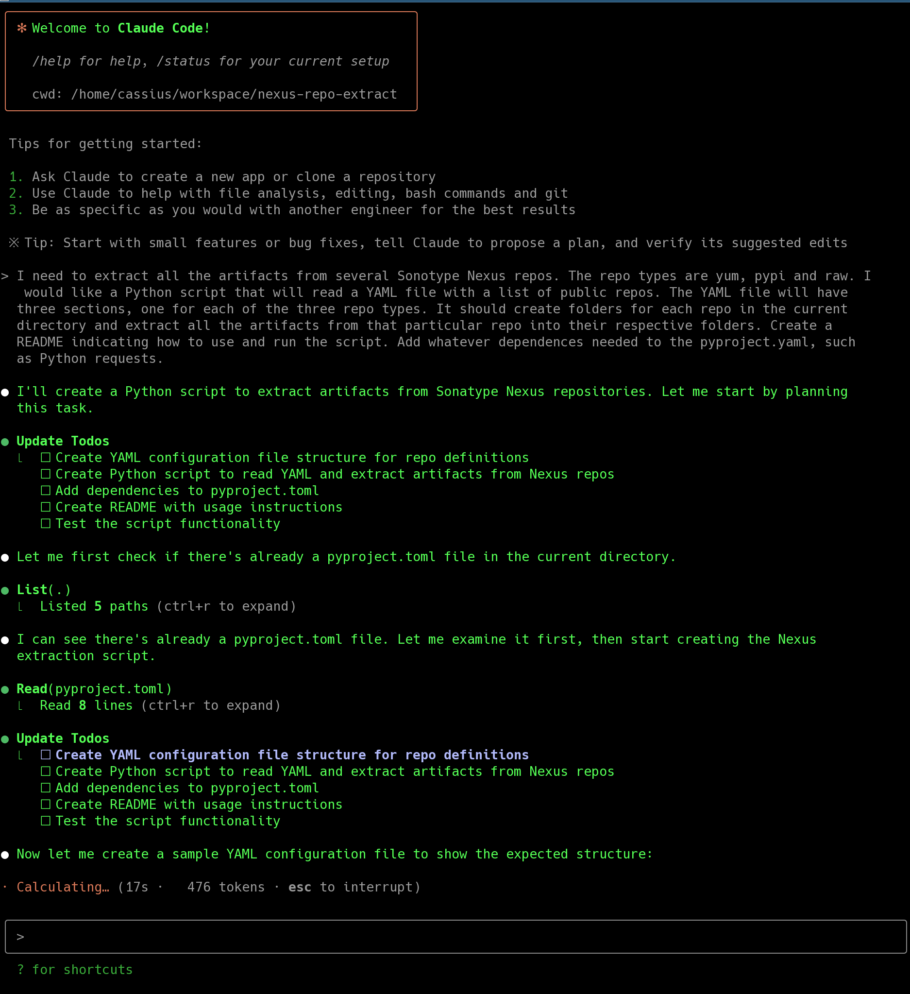 Initial Prompt and Generation