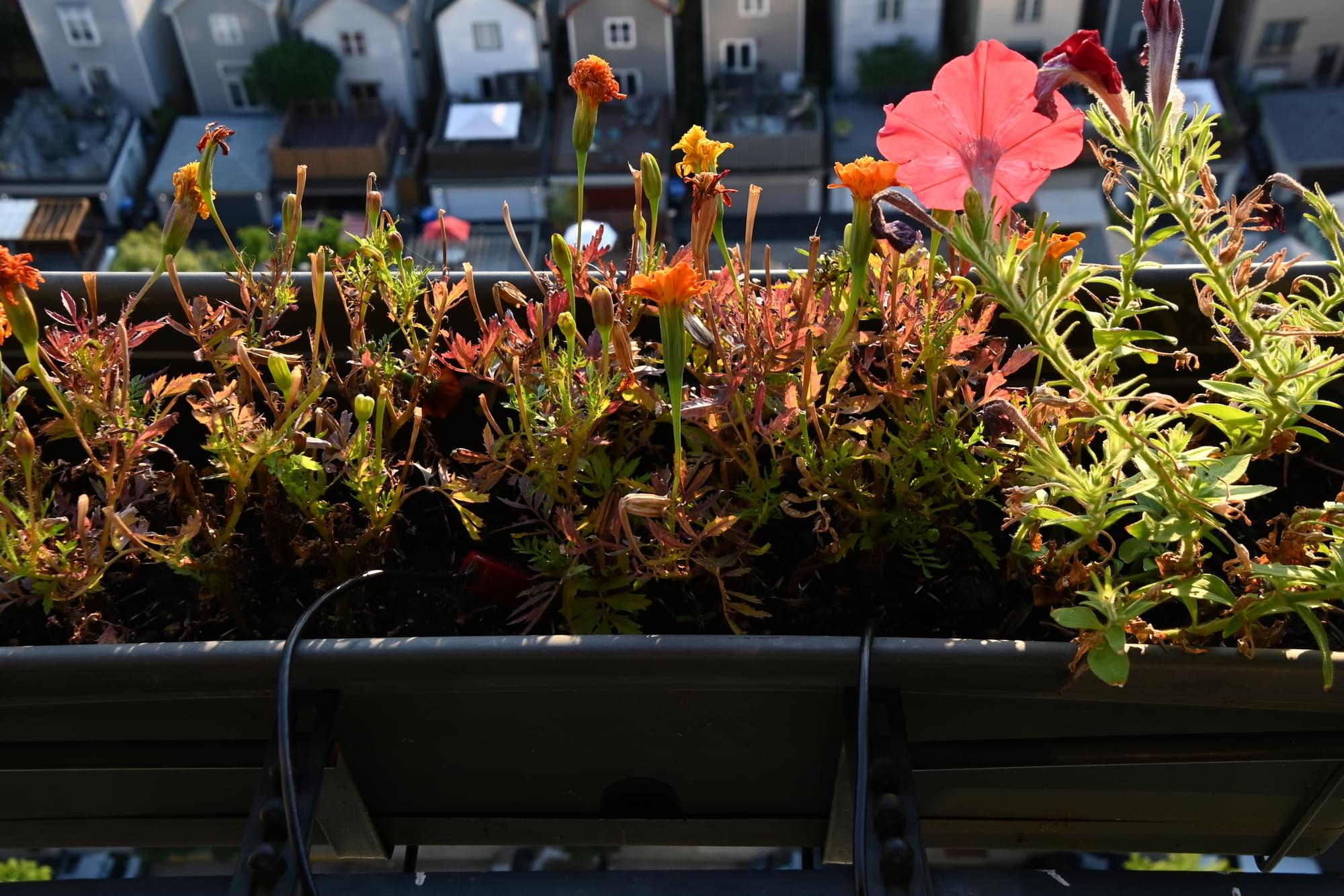 Flower Box with Soil Moisture and Temperature Sensors