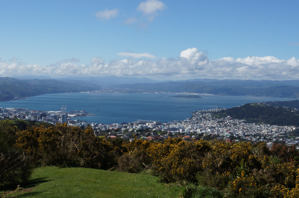 Wellington, New Zealand